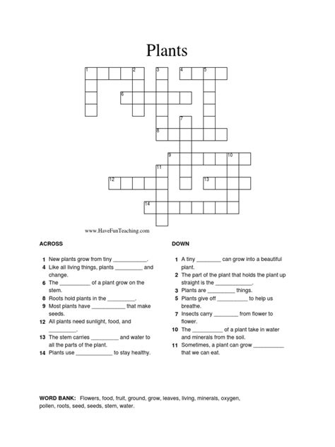 a few crossword clue|simple non flowering plant crossword clue.